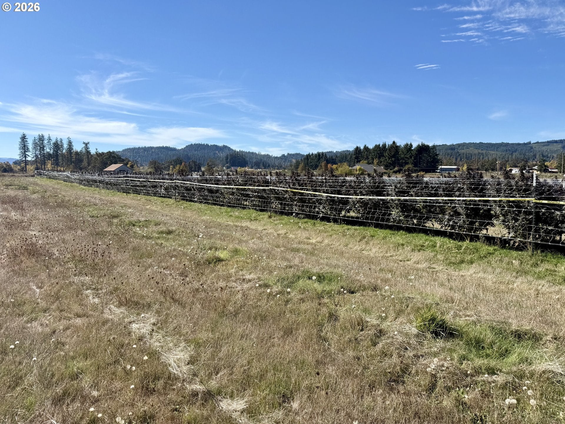 82447 BUTTE RD