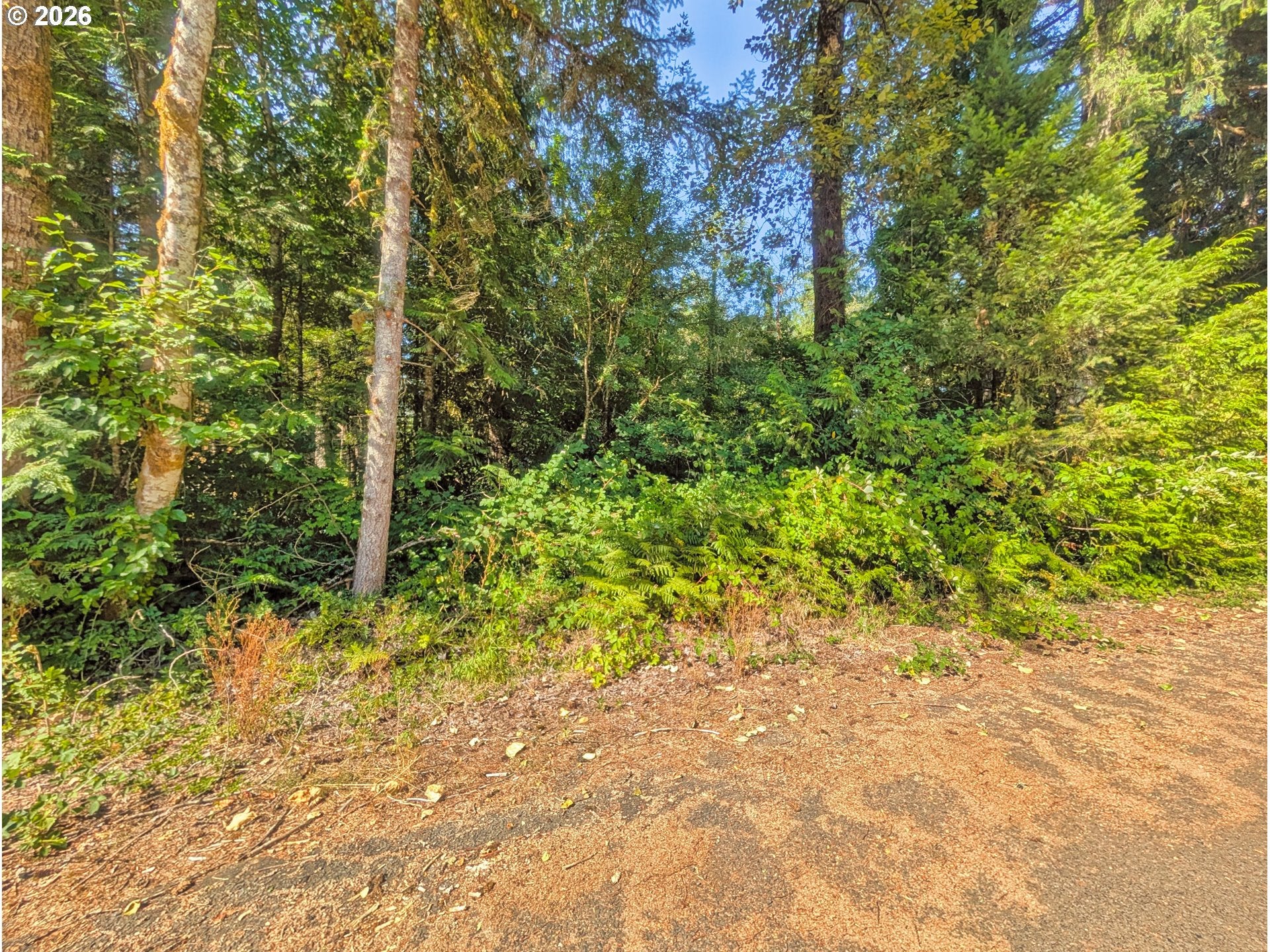 65535 E SANDY RIVER LN