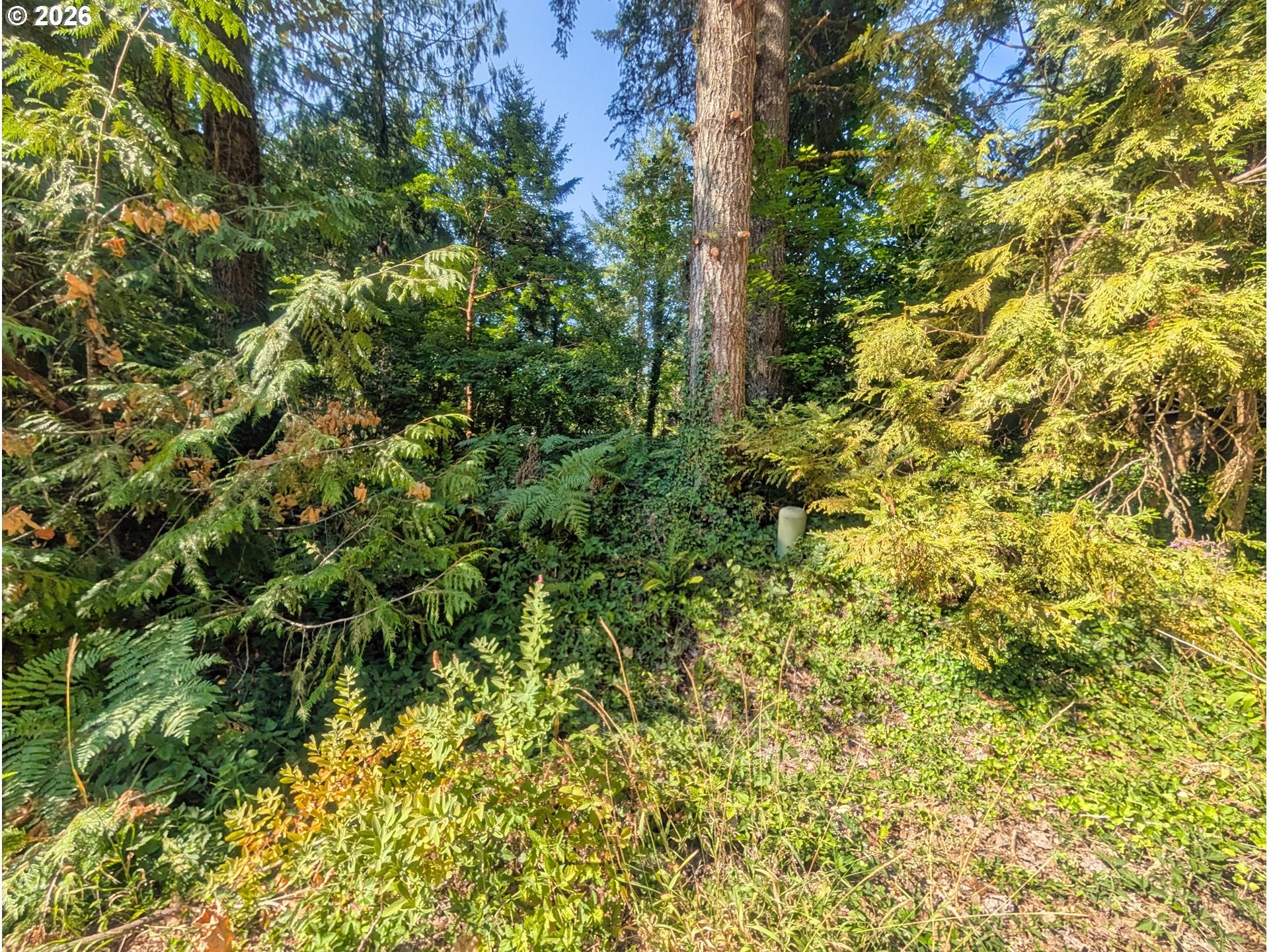 65535 E SANDY RIVER LN