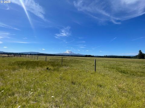 30 E ADAMS VIEW DR Glenwood WA 98619