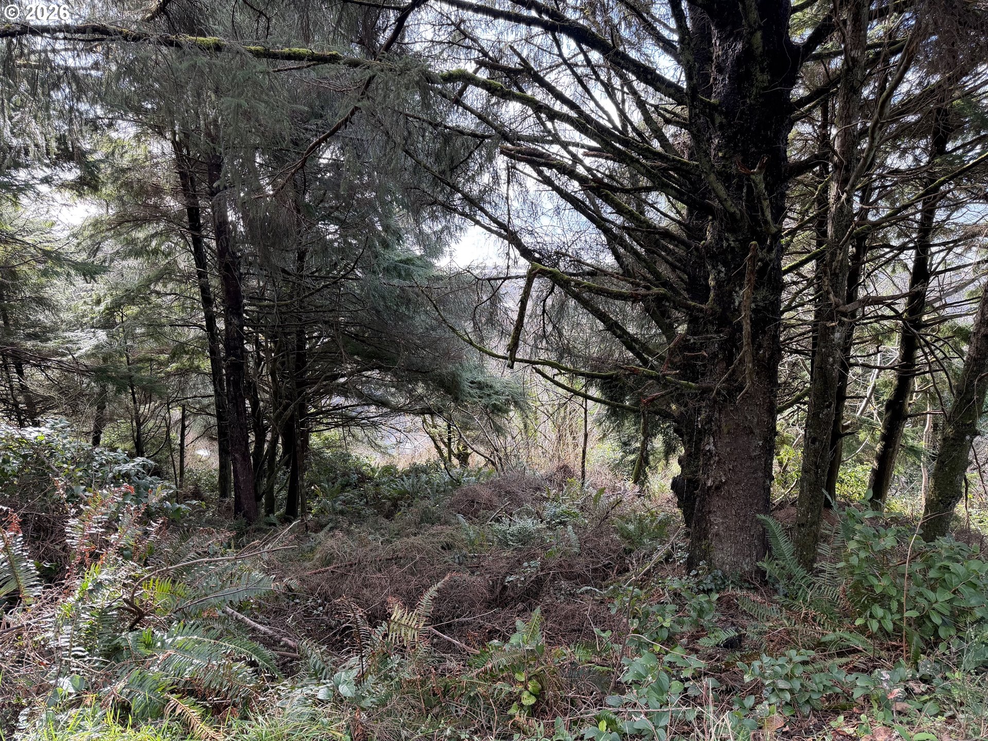 0 Pacific View Estates 70