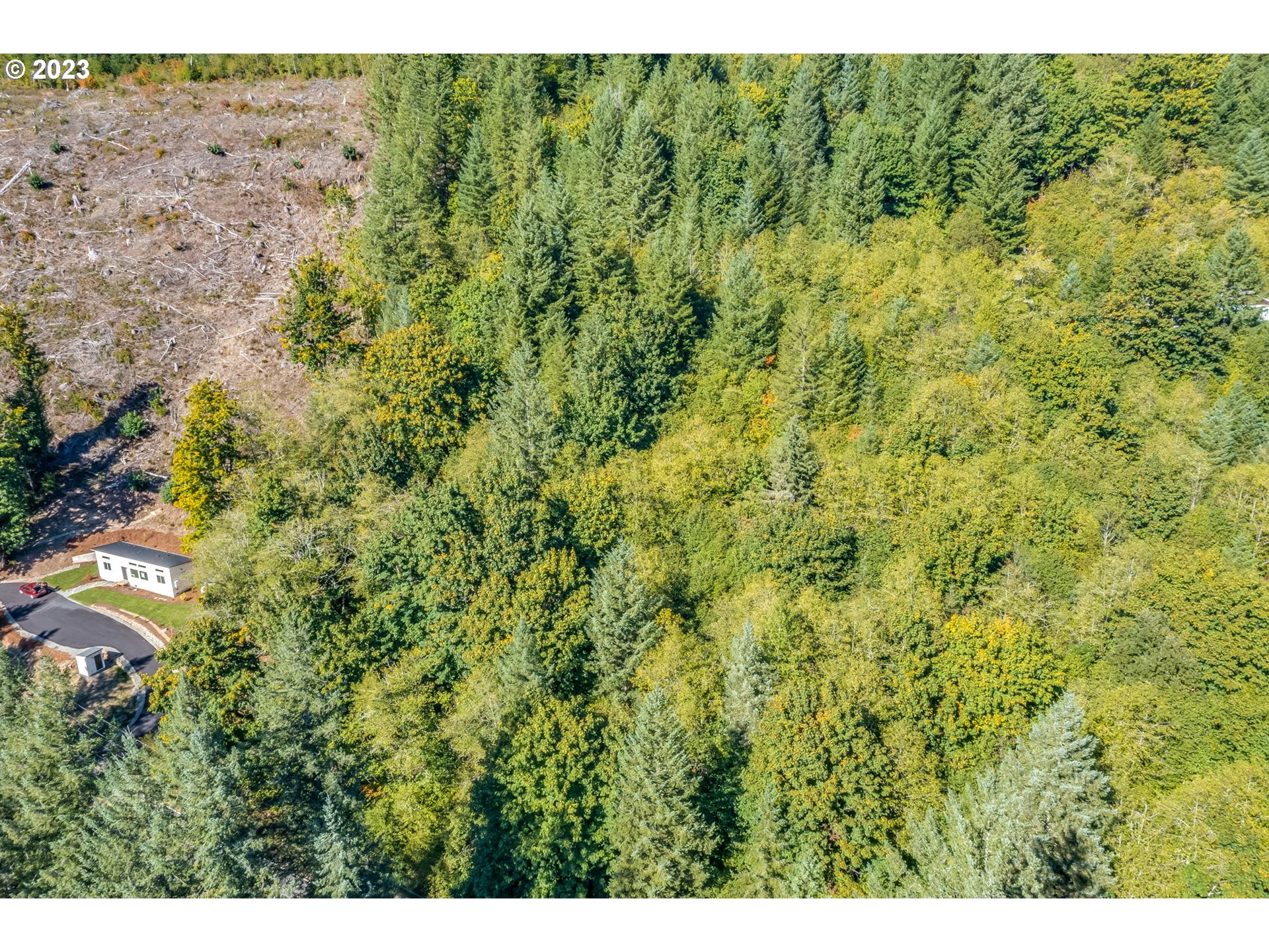 Yacolt, Washington 98675, United States, ,Land,Active,72555