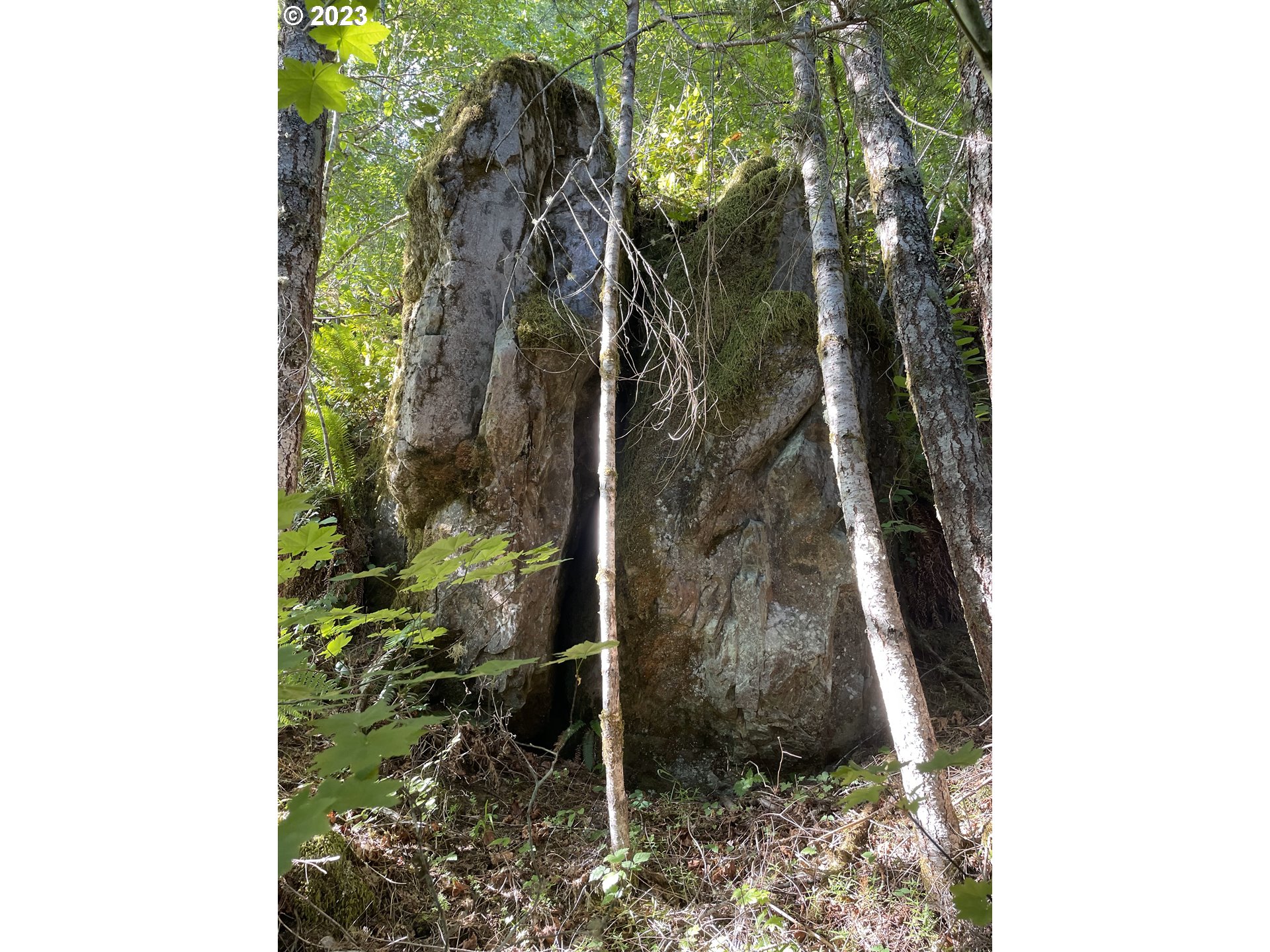 Yacolt, Washington 98675, United States, ,Land,Active,72555