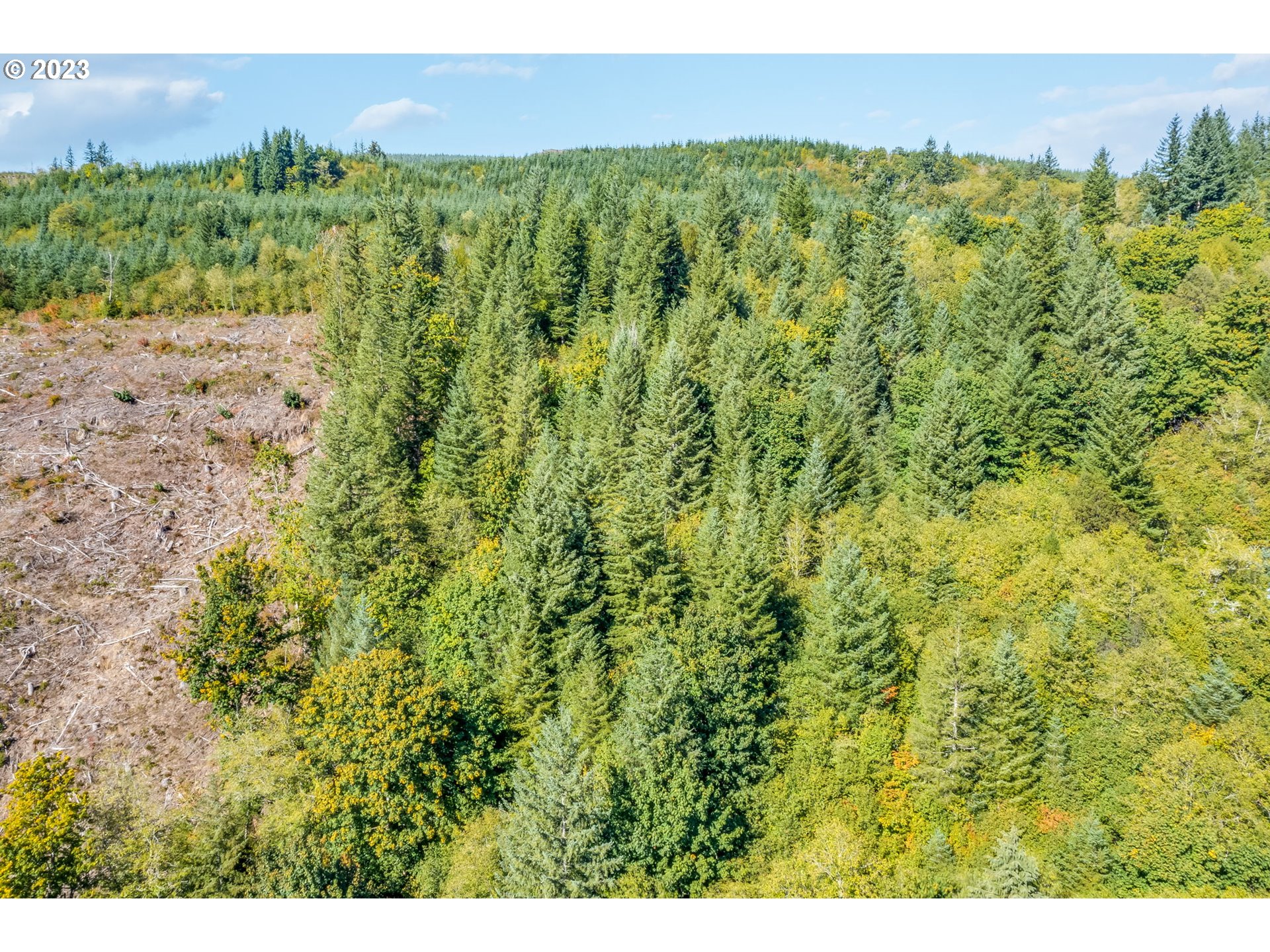 Yacolt, Washington 98675, United States, ,Land,Active,72555