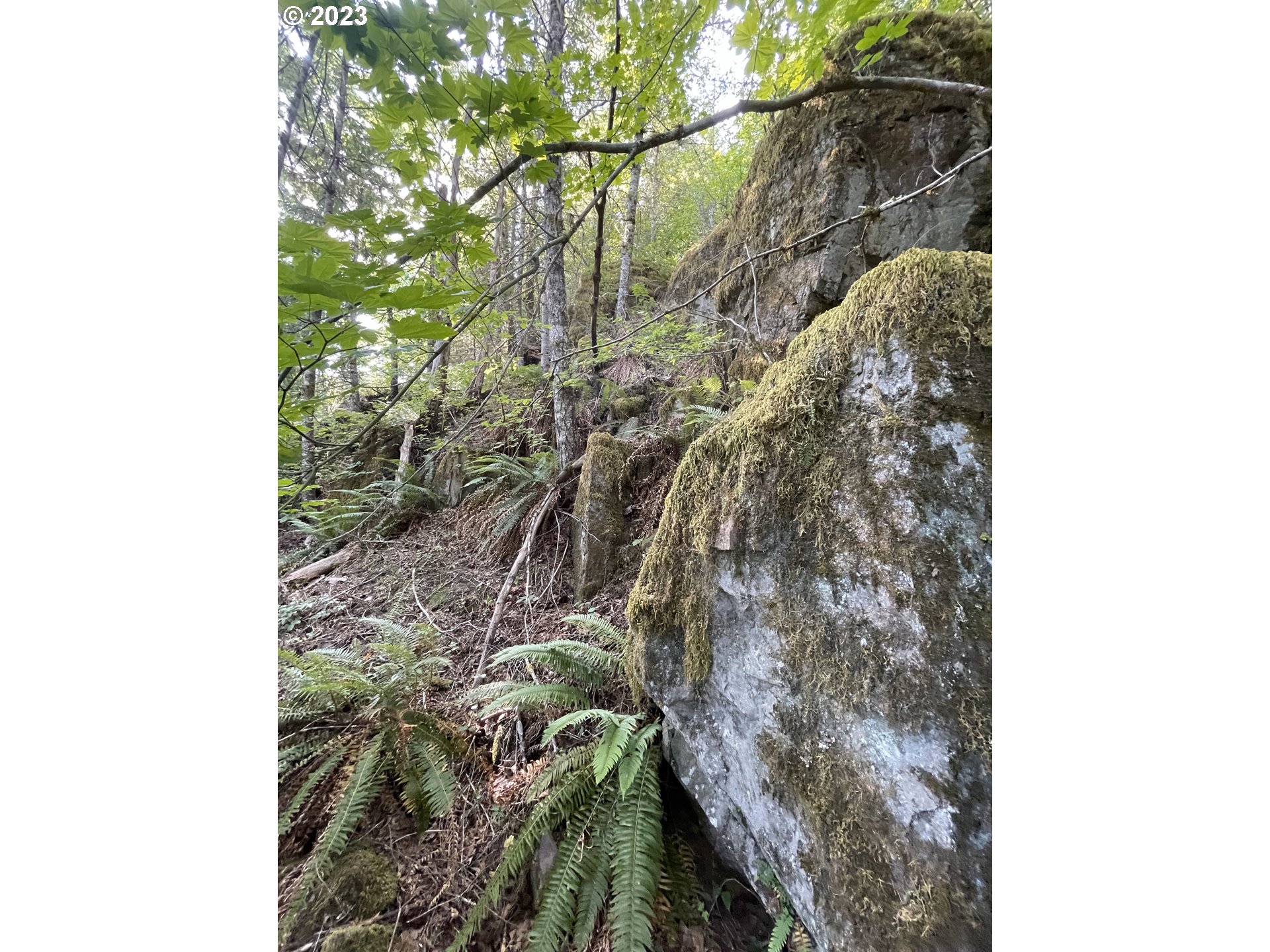 Yacolt, Washington 98675, United States, ,Land,Active,72555