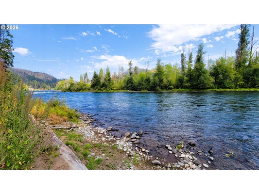49570 MCKENZIE HWY, VIDA, OR 97488 - Image 3f7f8e1d75d022d8a1e2b1f7dff150f9/627550585
