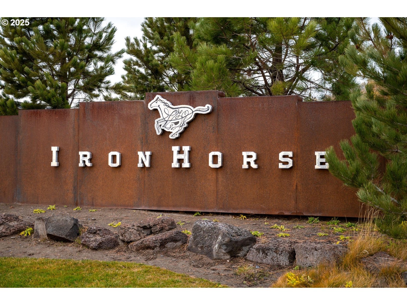 NE DISCOVERY LOOP TL9500