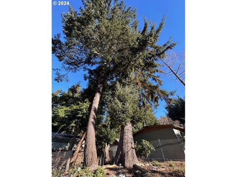 A home in Port Orford