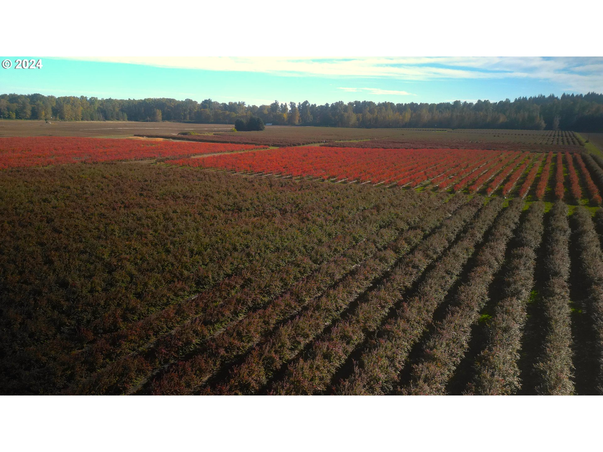 Jefferson, Oregon 97352, United States, ,Residential,Active,30736