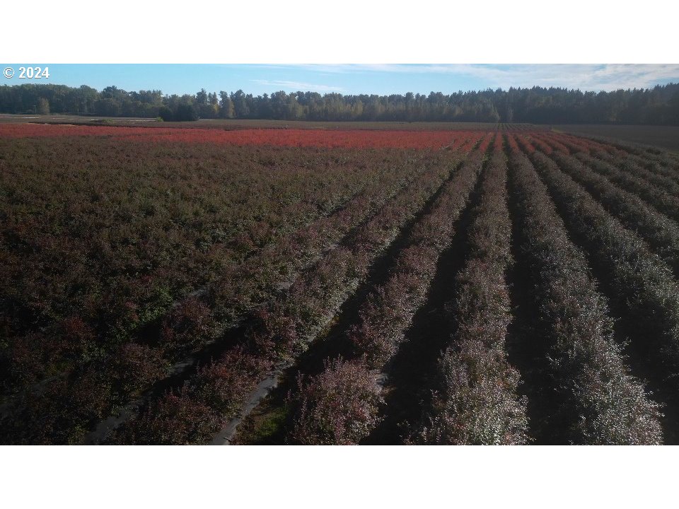 Jefferson, Oregon 97352, United States, ,Residential,Active,30736