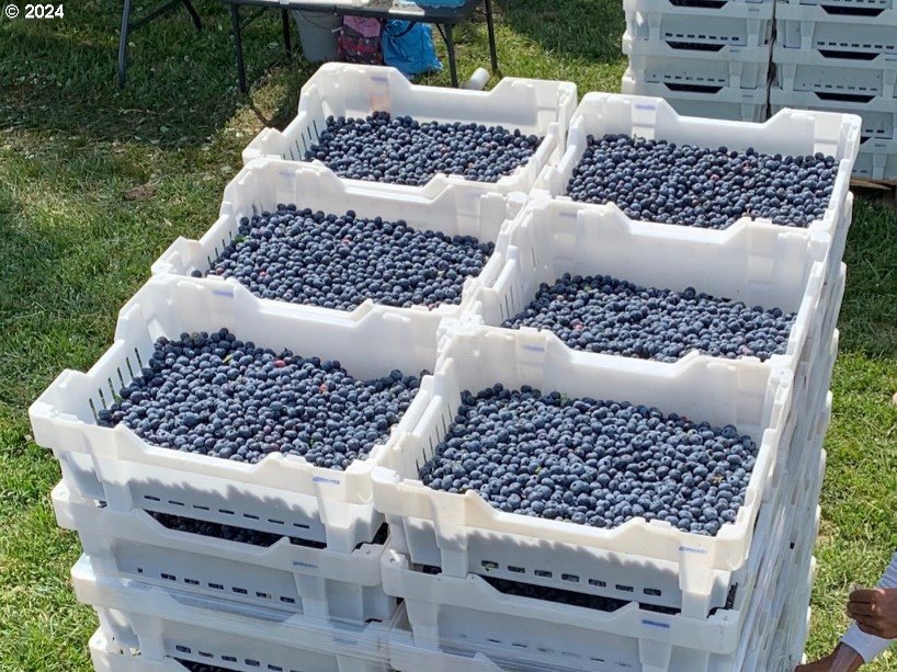 Jefferson, Oregon 97352, United States, ,Residential,Active,30736