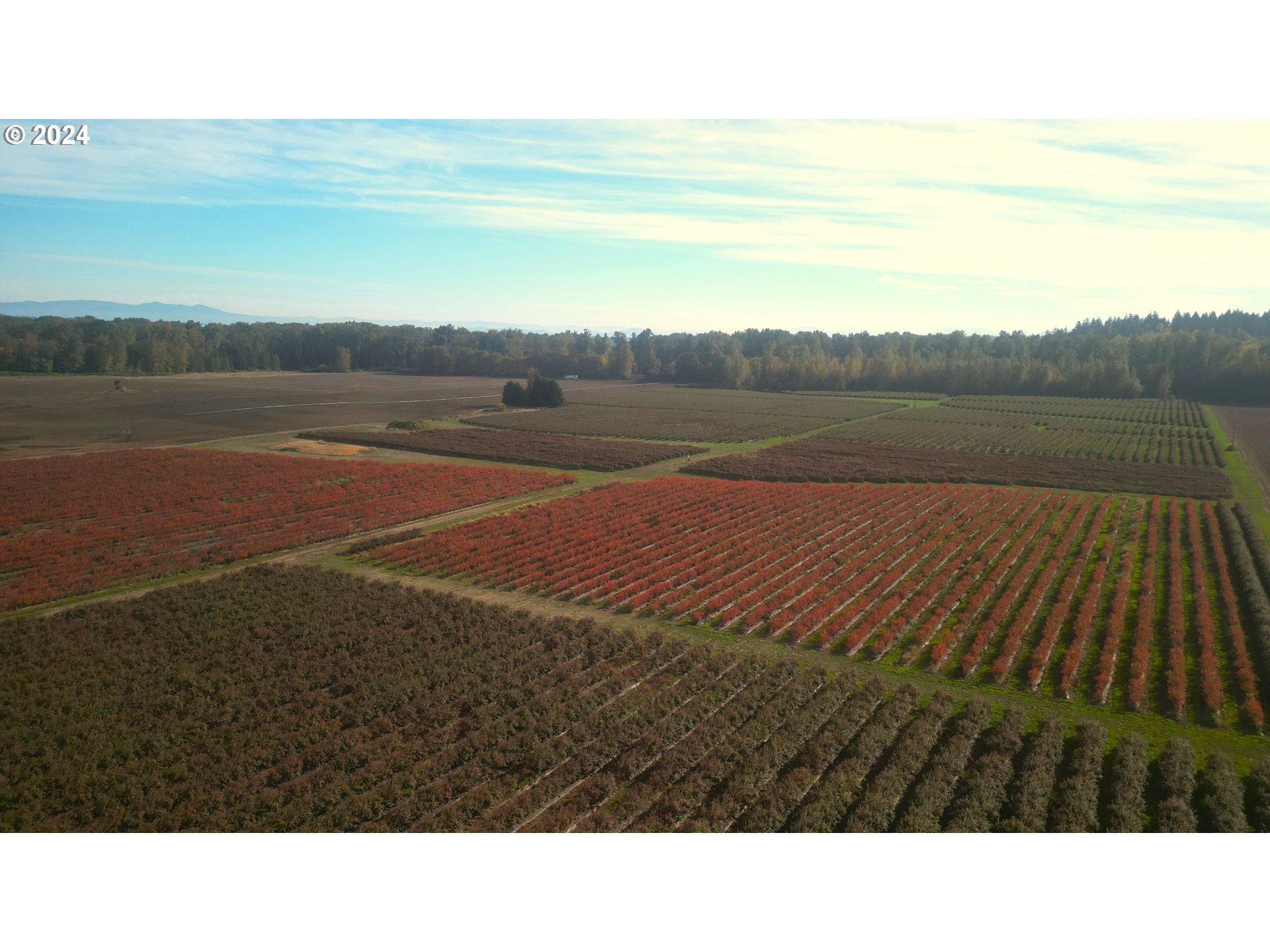 Jefferson, Oregon 97352, United States, ,Residential,Active,30736