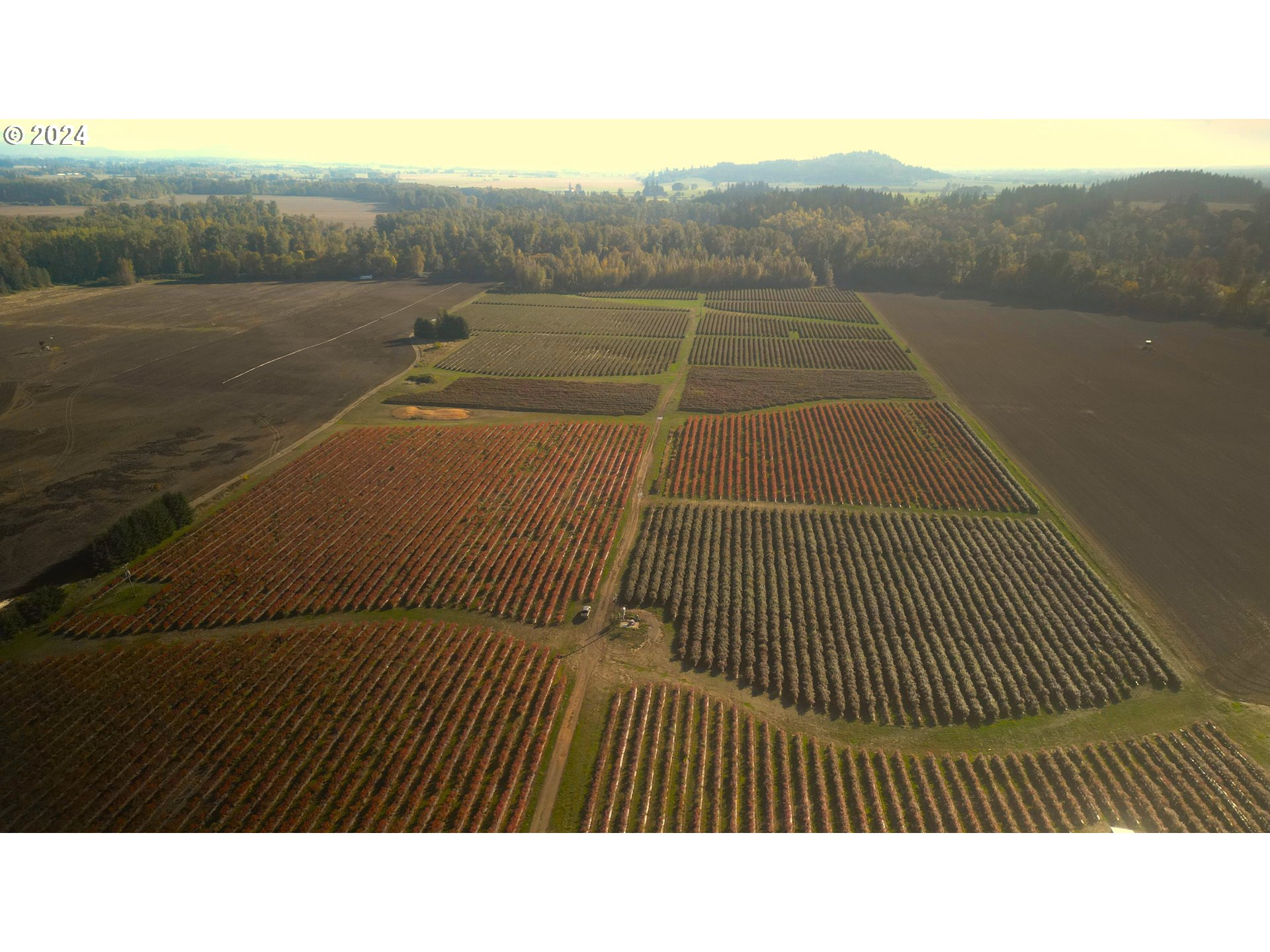 Jefferson, Oregon 97352, United States, ,Residential,Active,30736