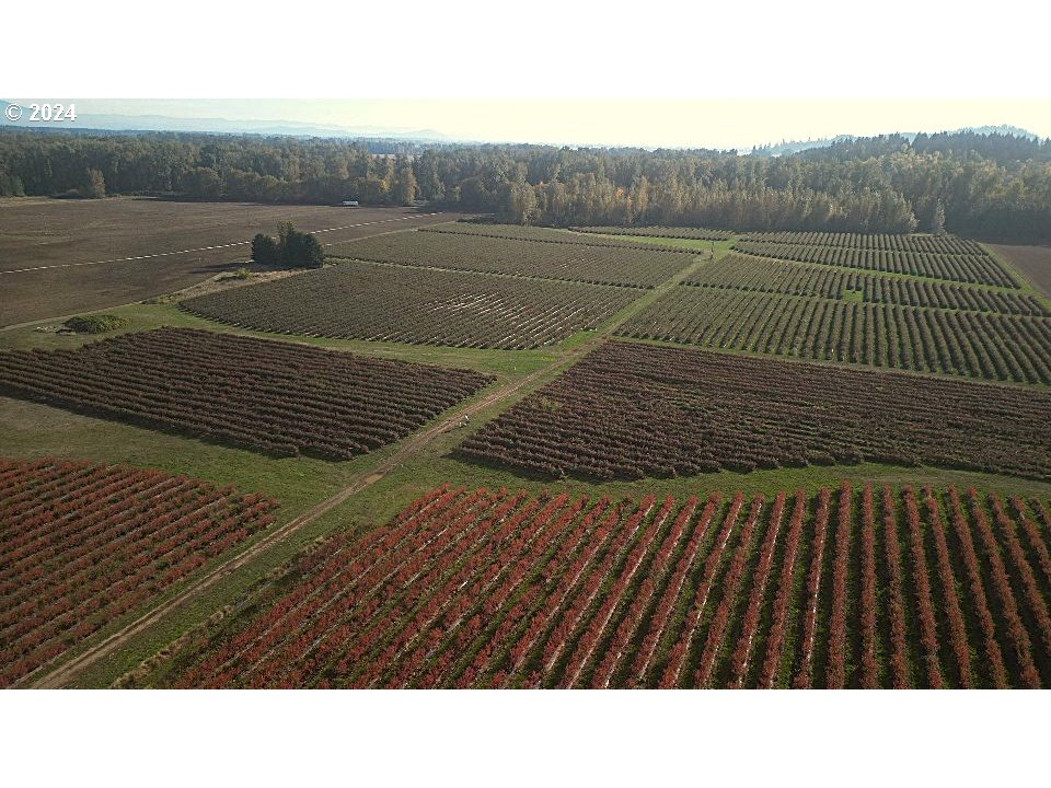 Jefferson, Oregon 97352, United States, ,Residential,Active,30736