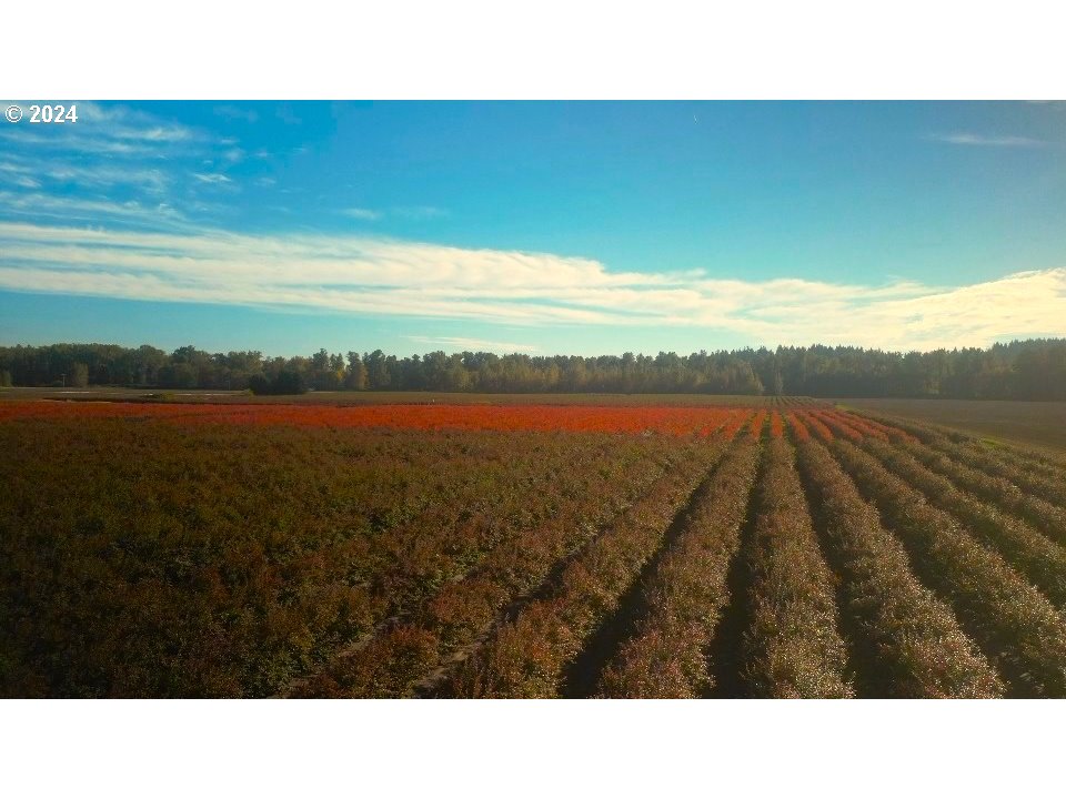 Jefferson, Oregon 97352, United States, ,Residential,Active,30736