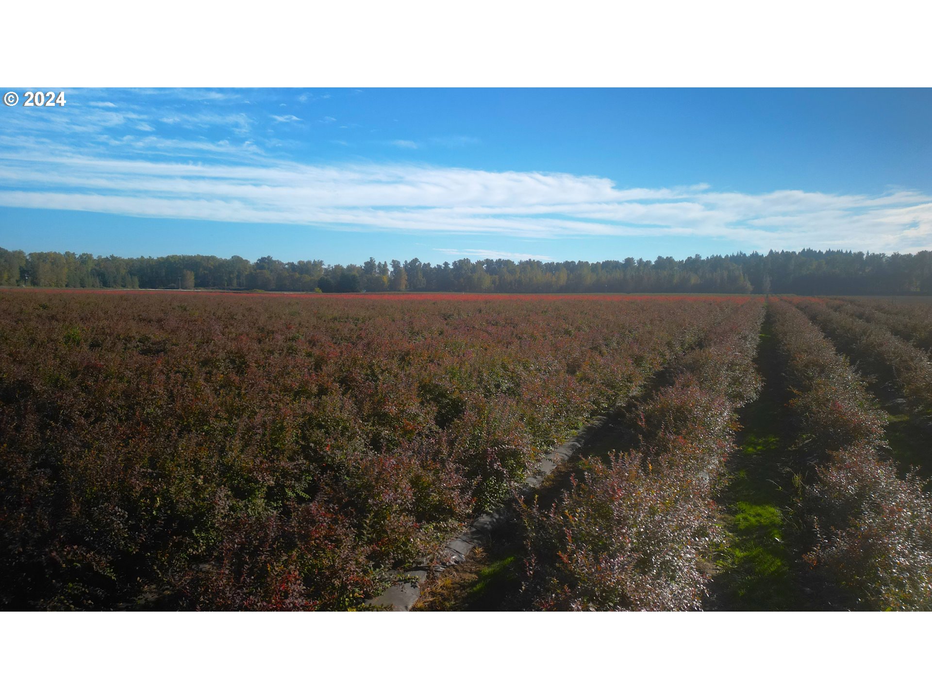 Jefferson, Oregon 97352, United States, ,Residential,Active,30736