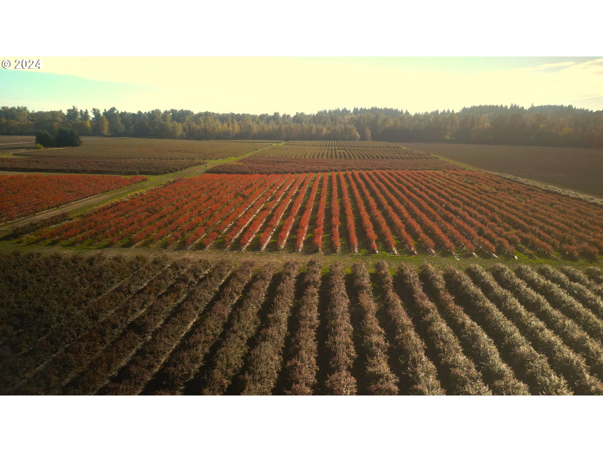 Jefferson, Oregon 97352, United States, ,Residential,Active,30736