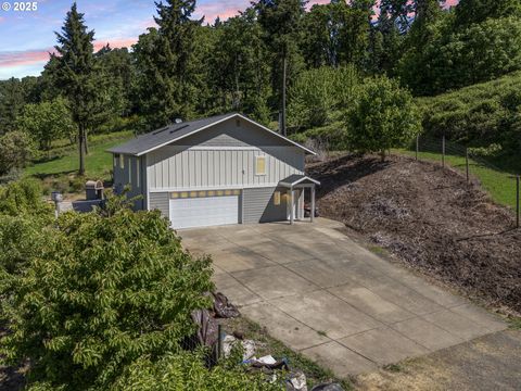9275 SE TERRACE VIEW CT Amity OR 97101