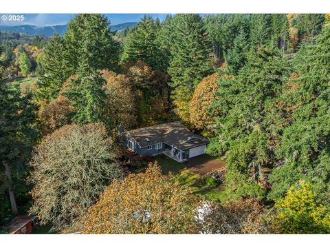 56220 SW LEE FALLS RD Gaston OR 97119