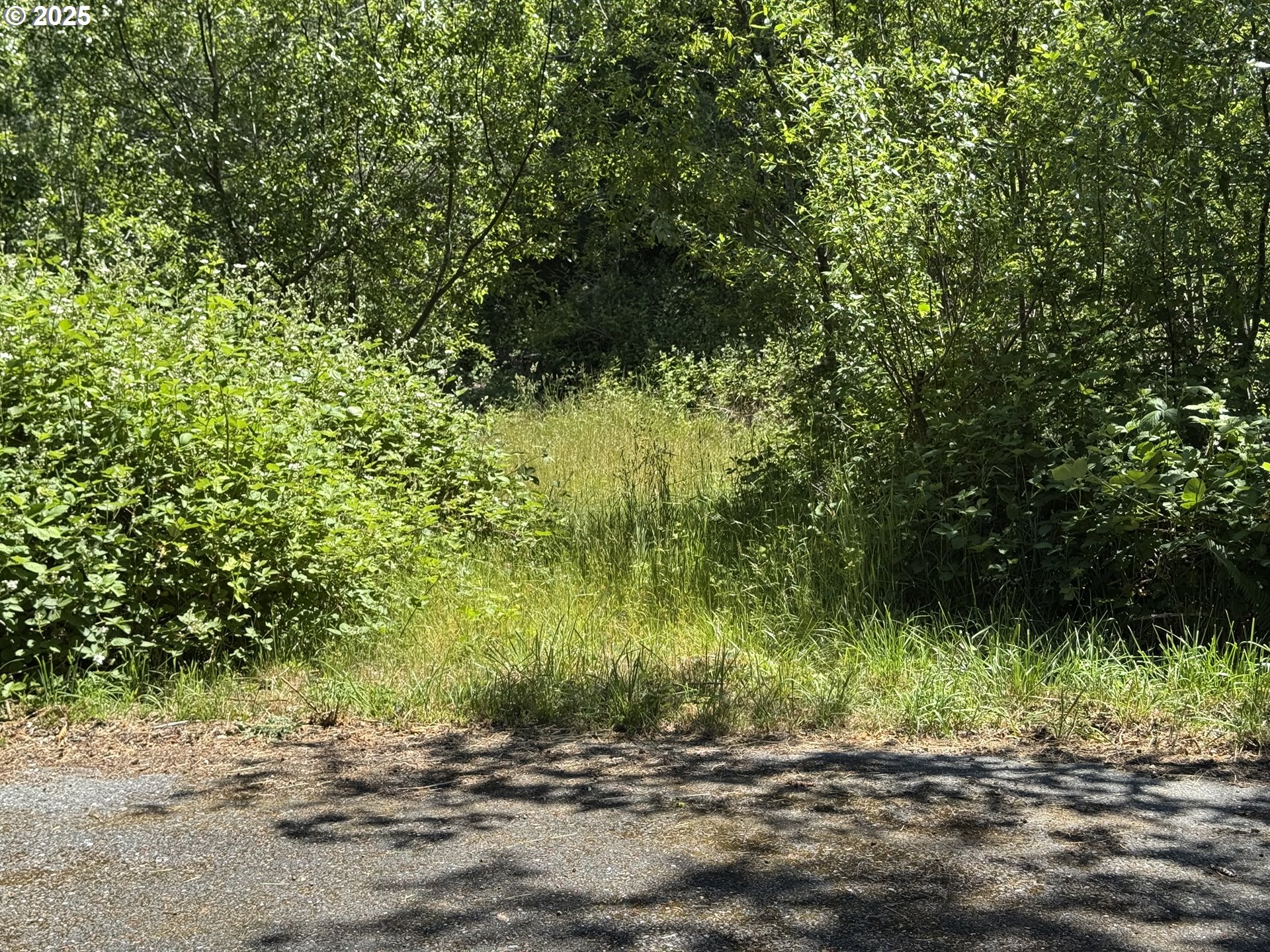 Cedar Valley Rd