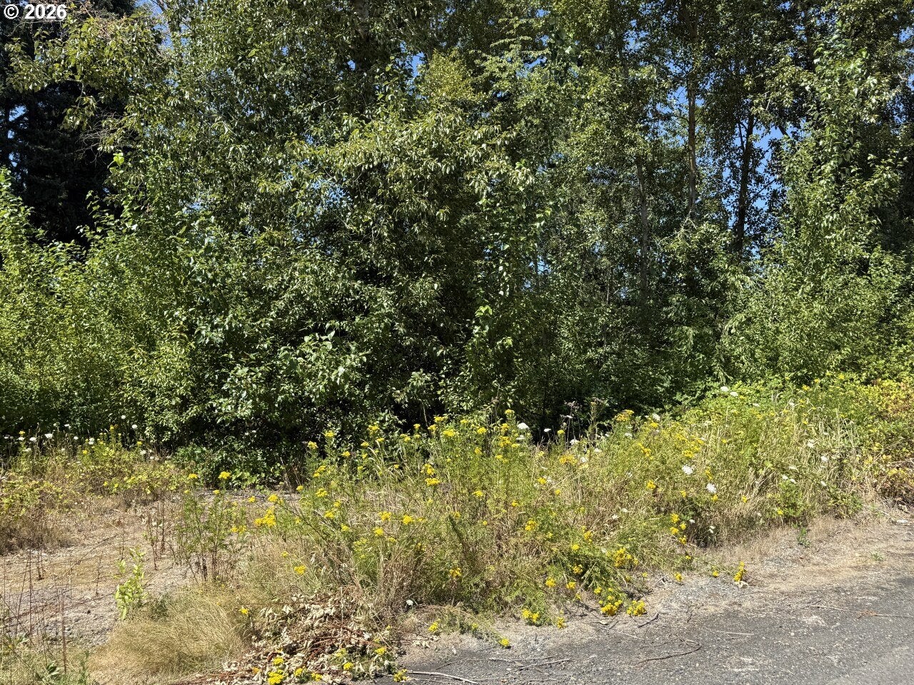 W POWELL LOOP