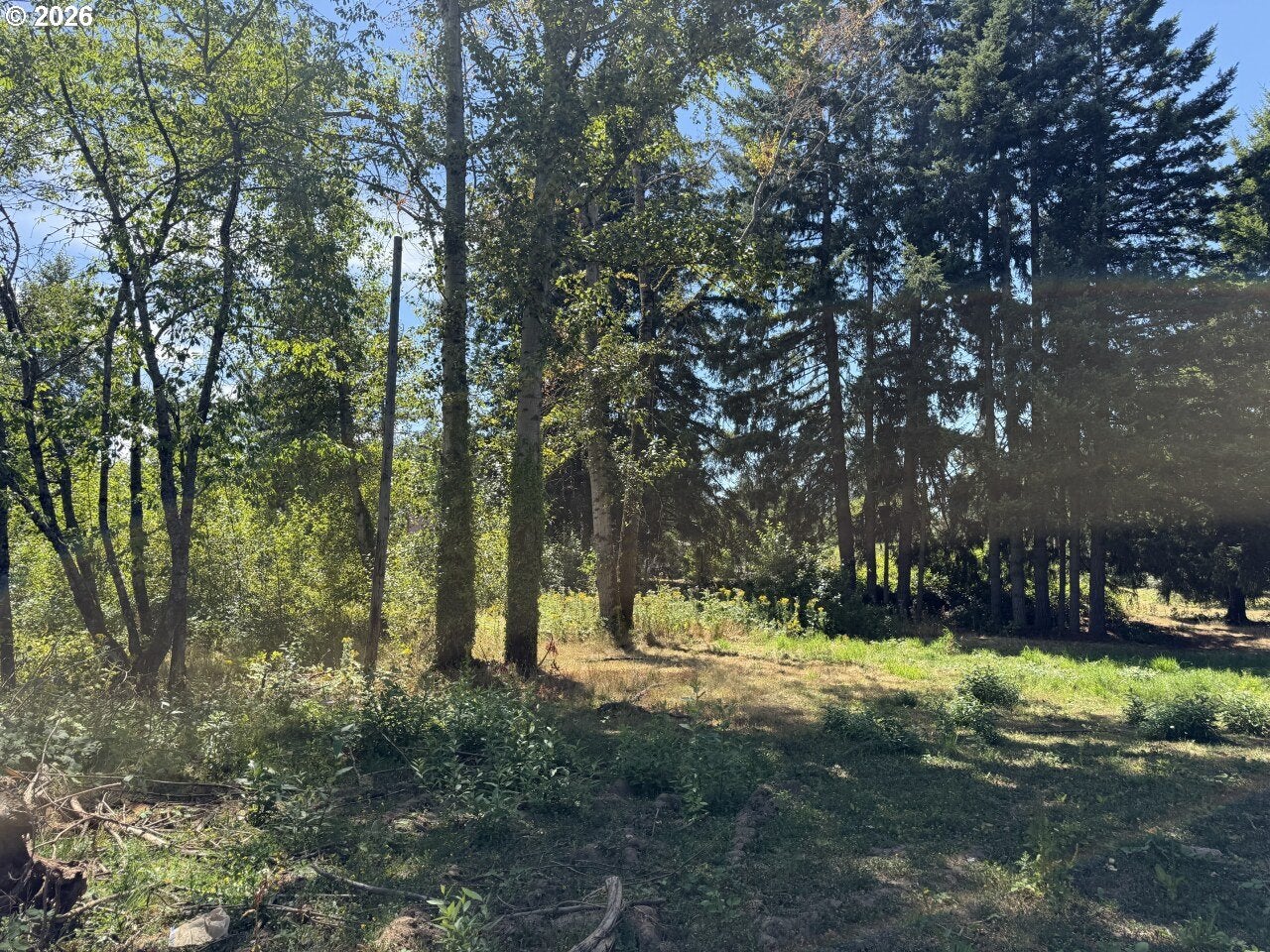 W POWELL LOOP