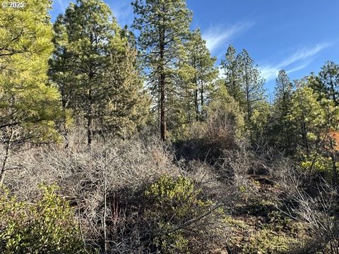 Hummingbird DR 13 Bonanza OR 97623