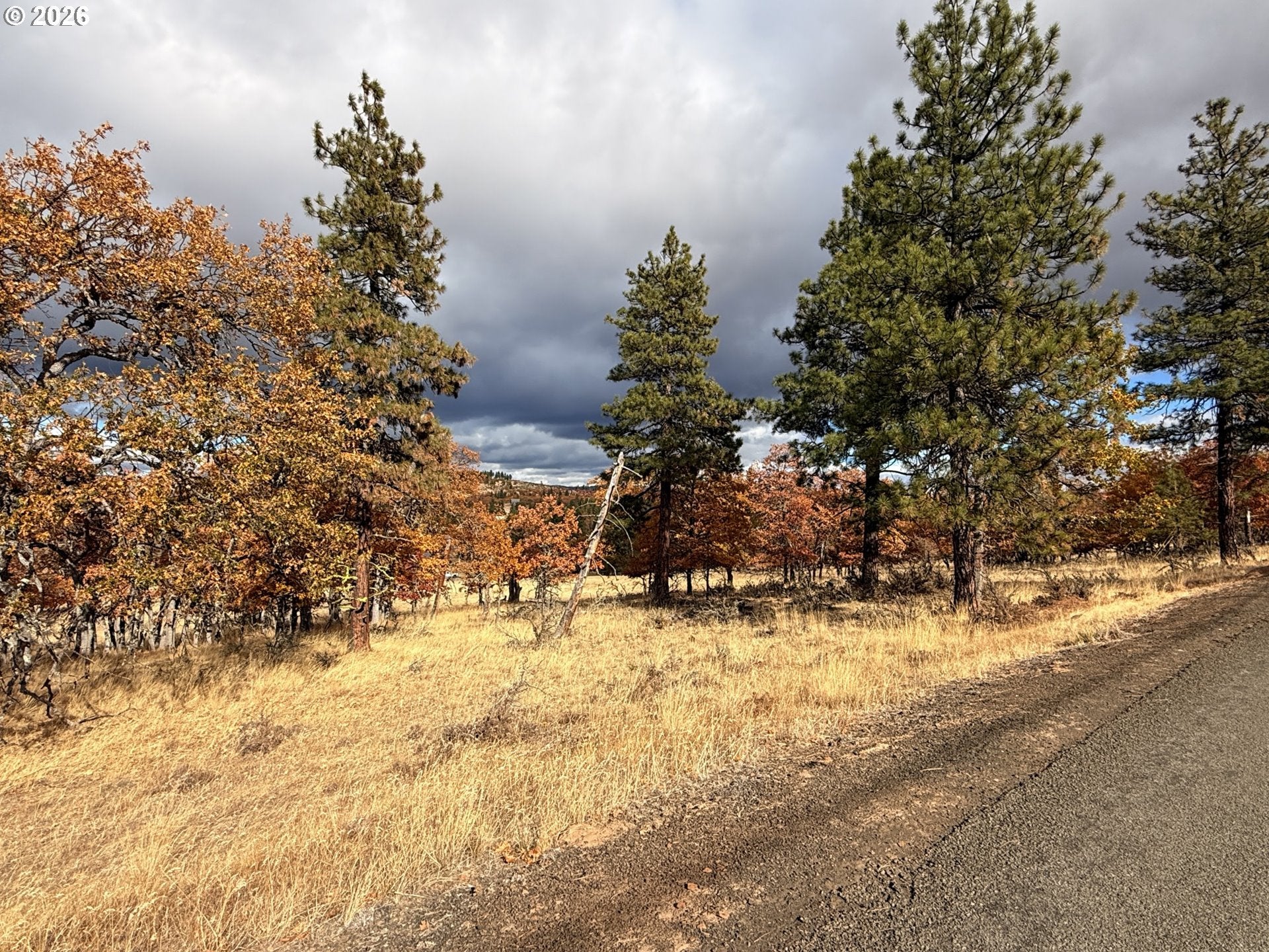Woodland Rd 8