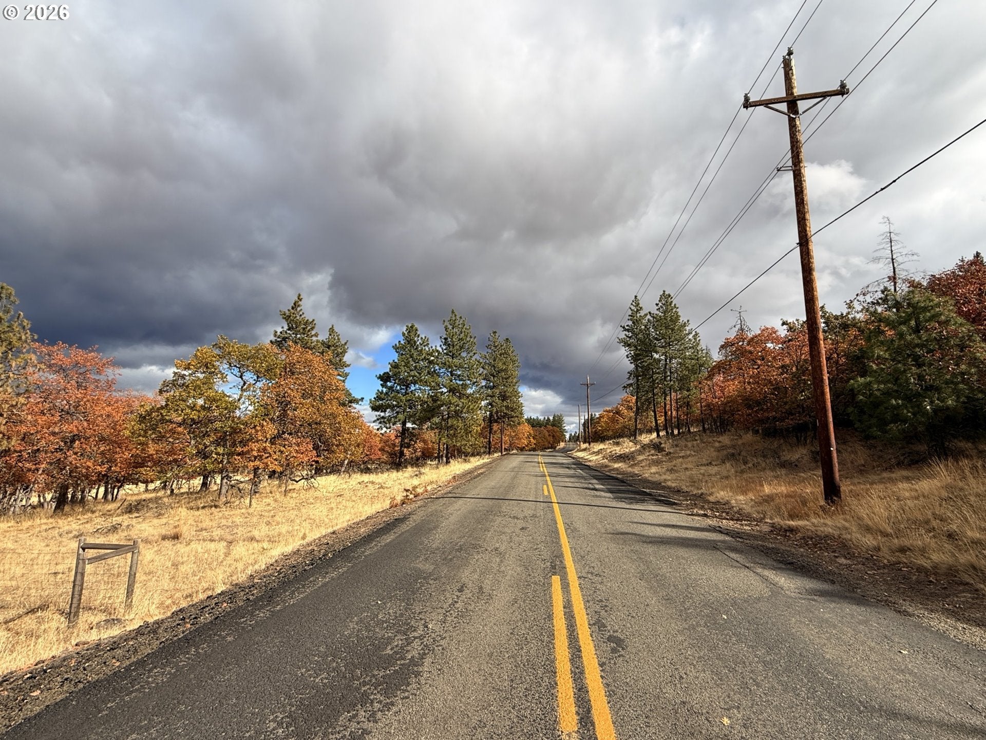Woodland Rd 8