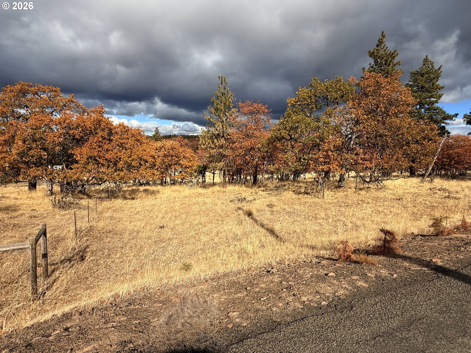 Woodland Rd 8