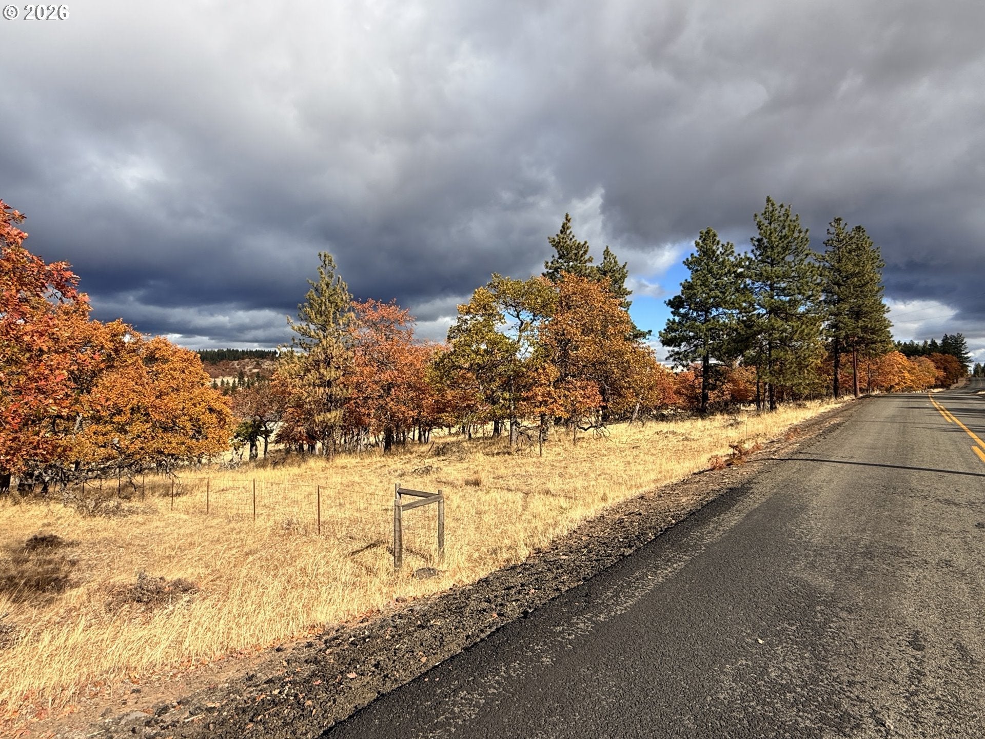 Woodland Rd 8