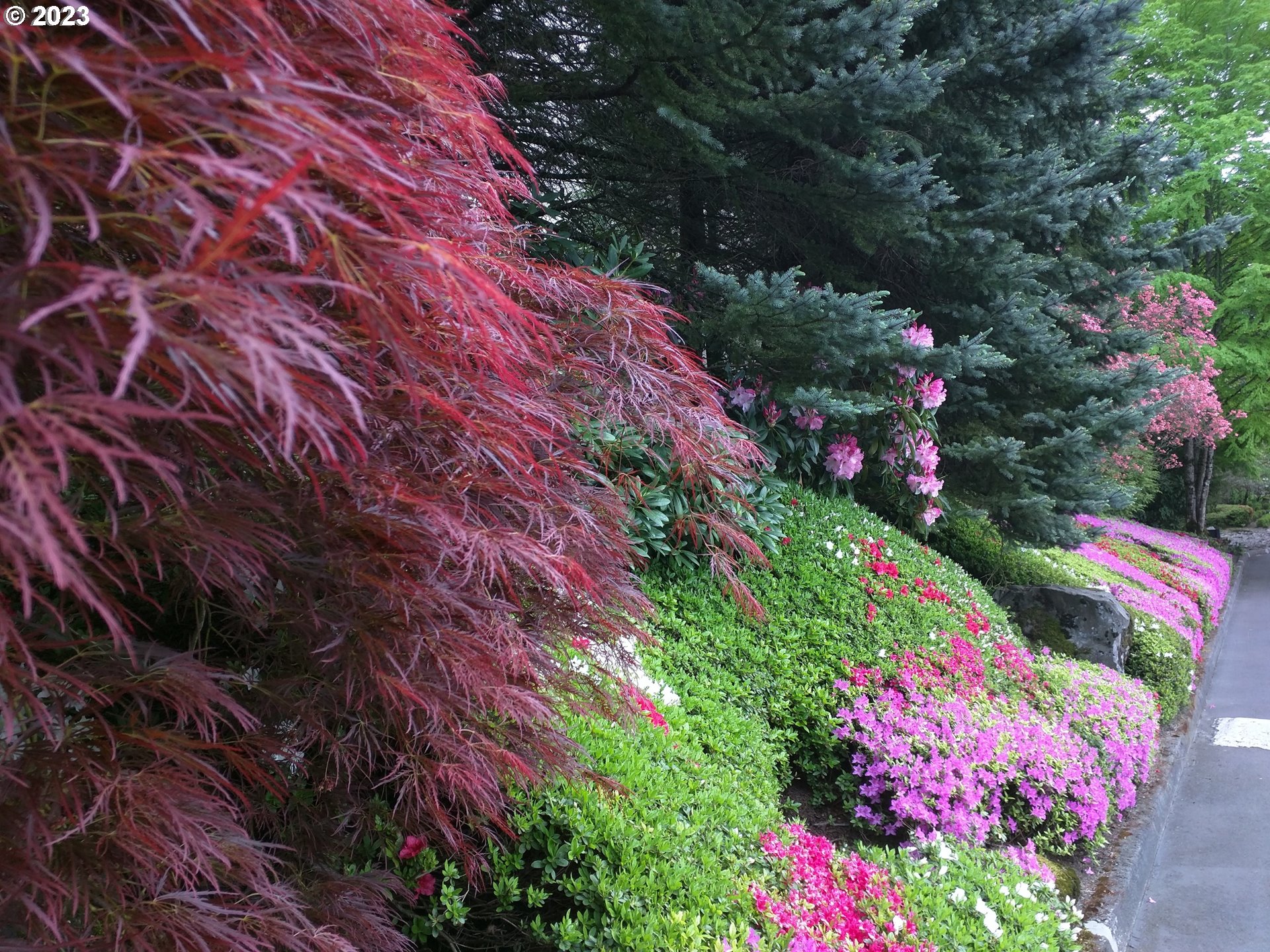 6605 W BURNSIDE ST 156