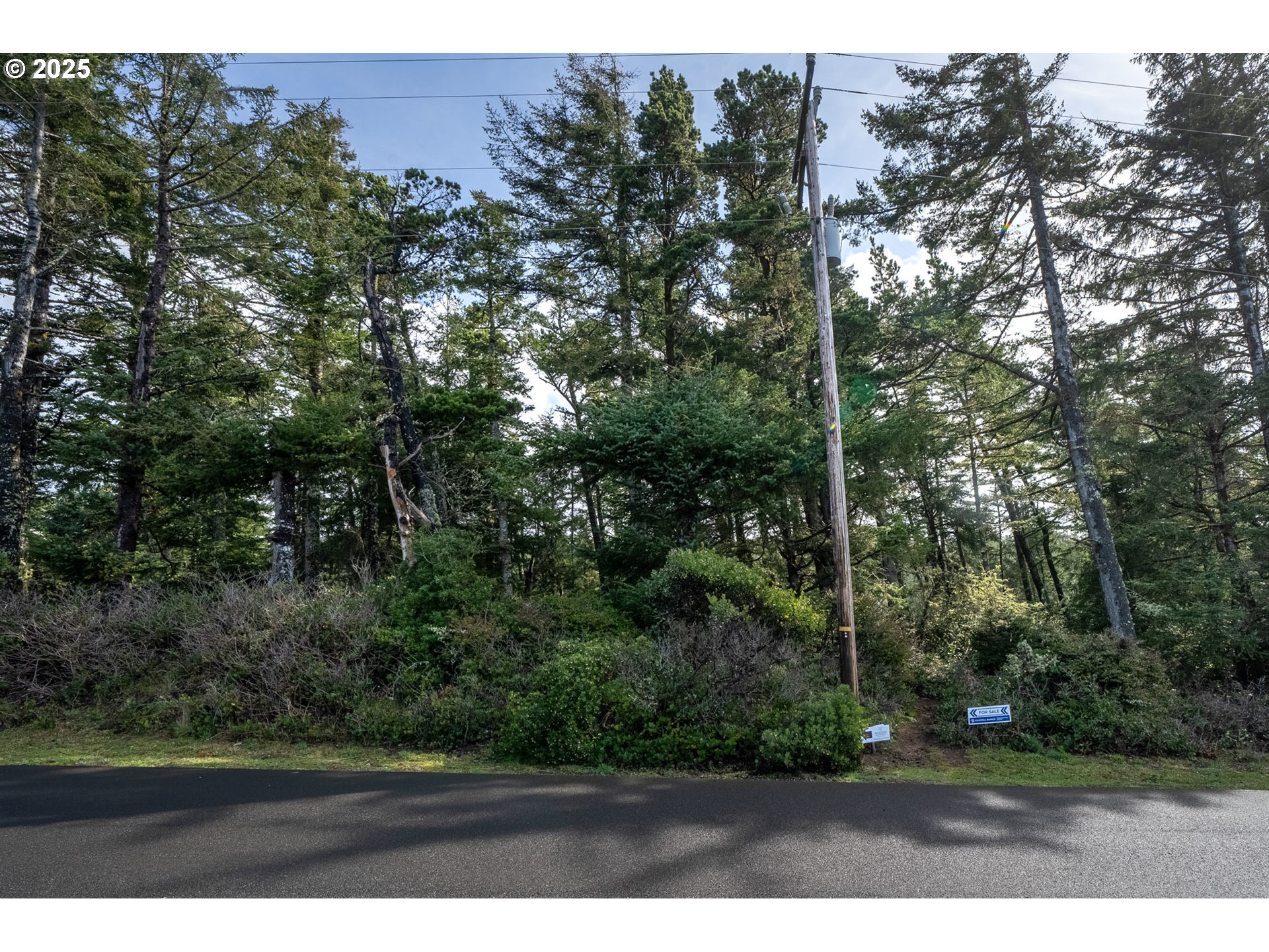 Oceanside, Oregon 97134, United States, ,Land,Active,101132