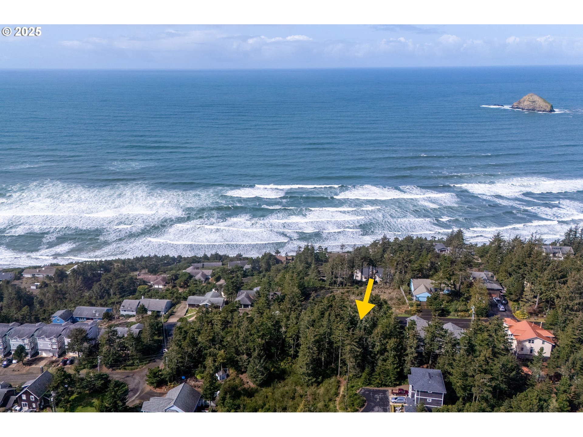 Oceanside, Oregon 97134, United States, ,Land,Active,101132