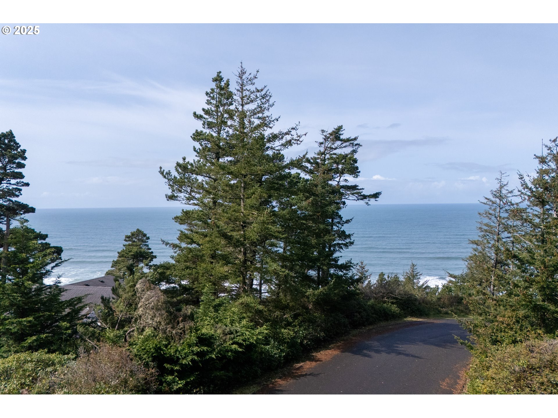 Oceanside, Oregon 97134, United States, ,Land,Active,101132