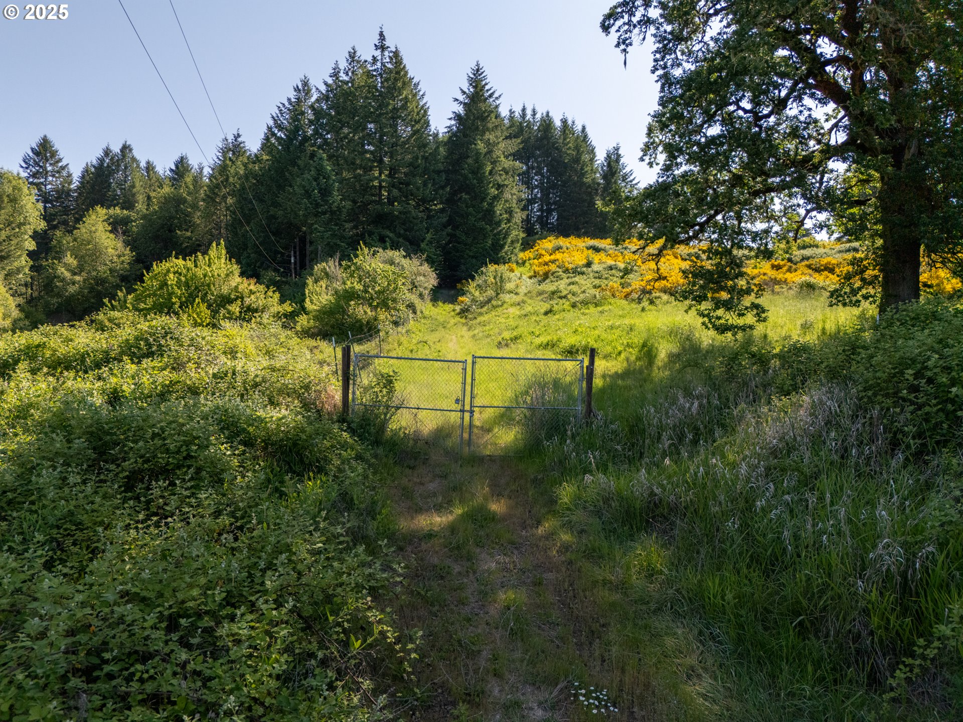 6900 NW Gales Creek RD