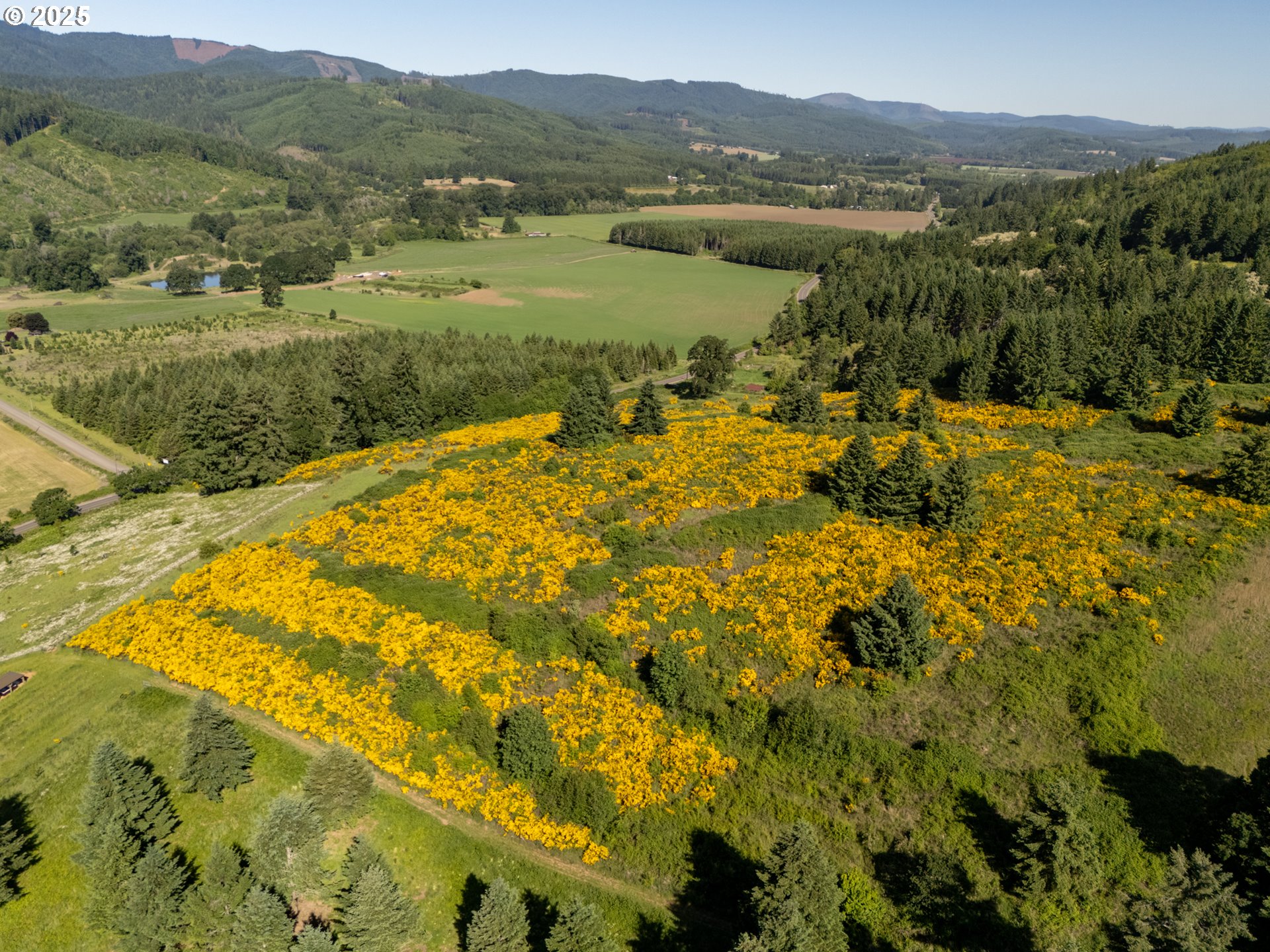 6900 NW Gales Creek RD
