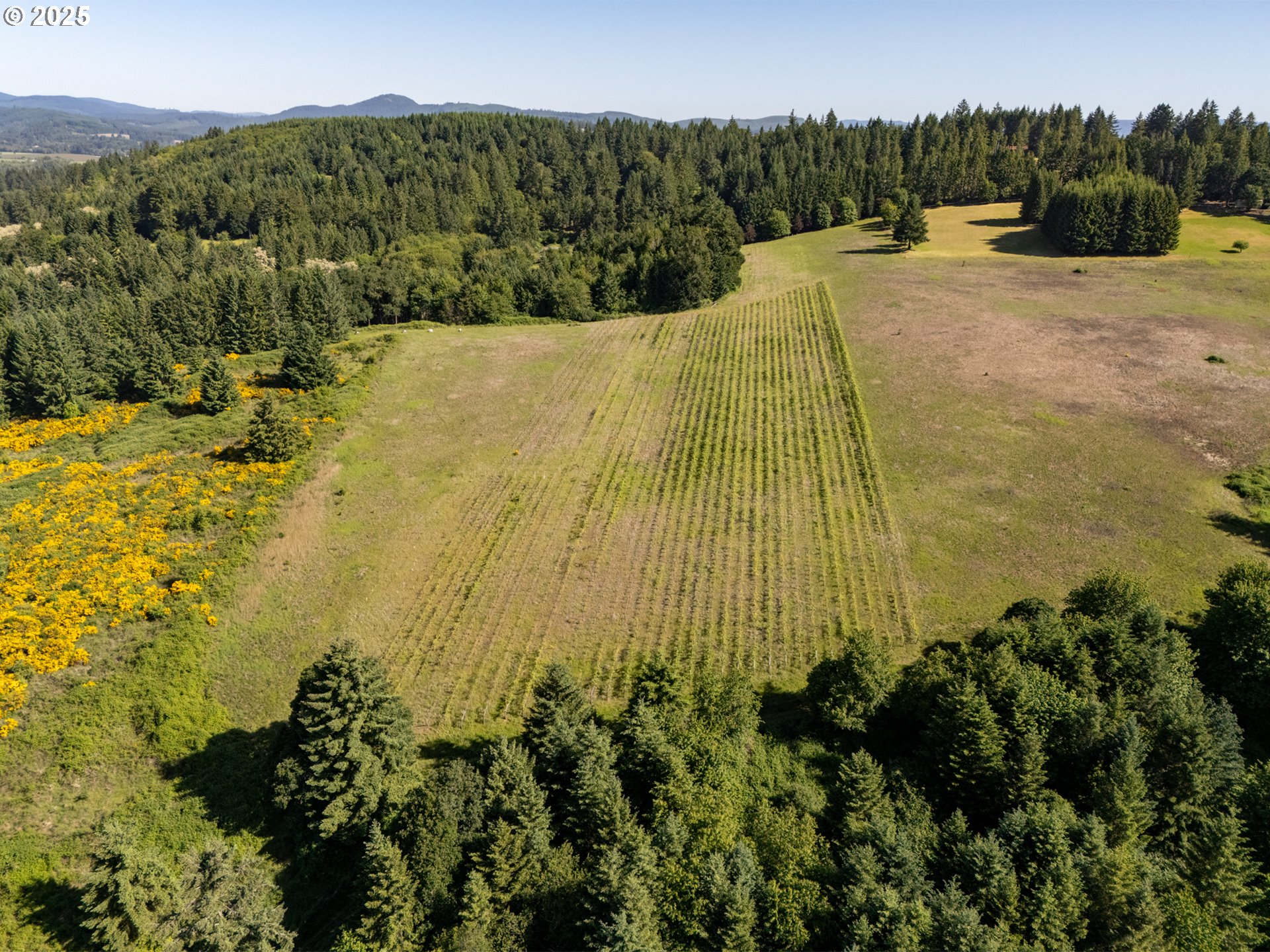 6900 NW Gales Creek RD