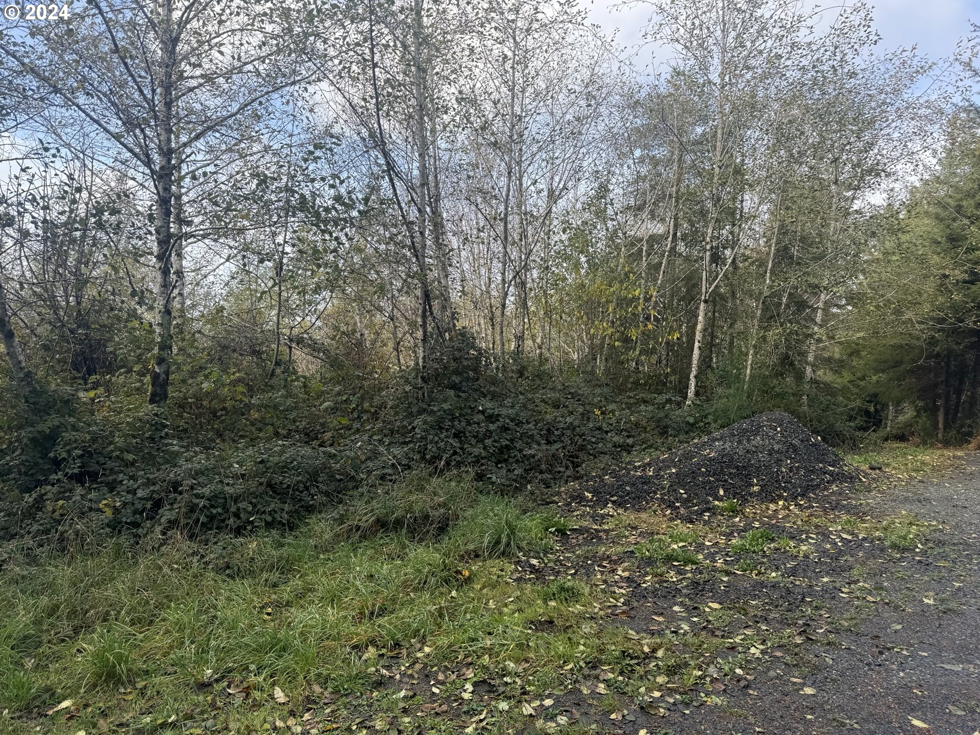 1 POTATO BOTTOM RD 601