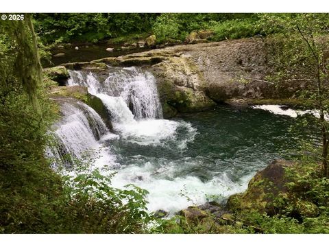 100 L-1100 RD Yacolt WA 98675