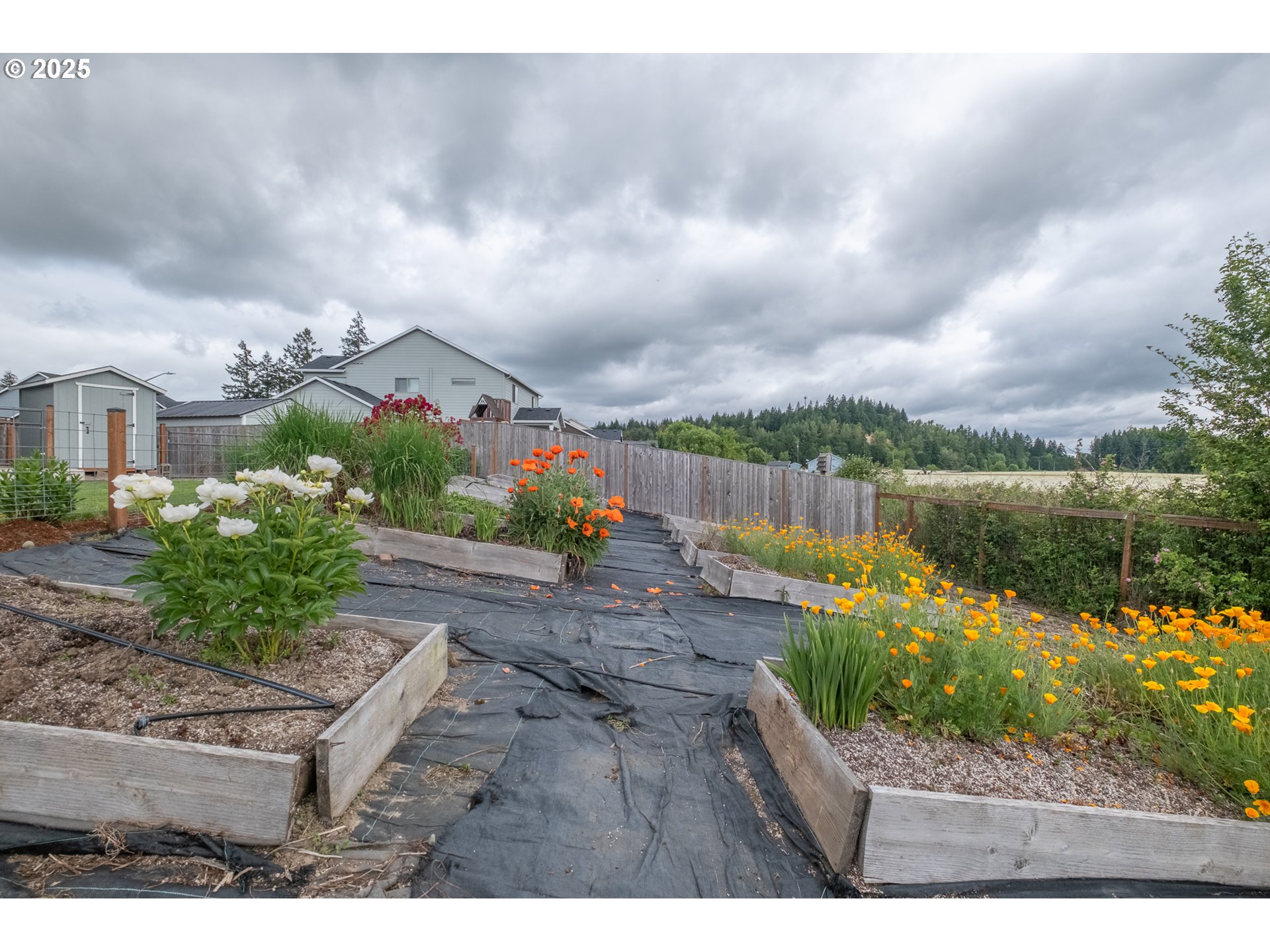 Albany, Oregon 97321, United States, 3 Bedrooms Bedrooms, ,2 BathroomsBathrooms,Residential,Active,139402