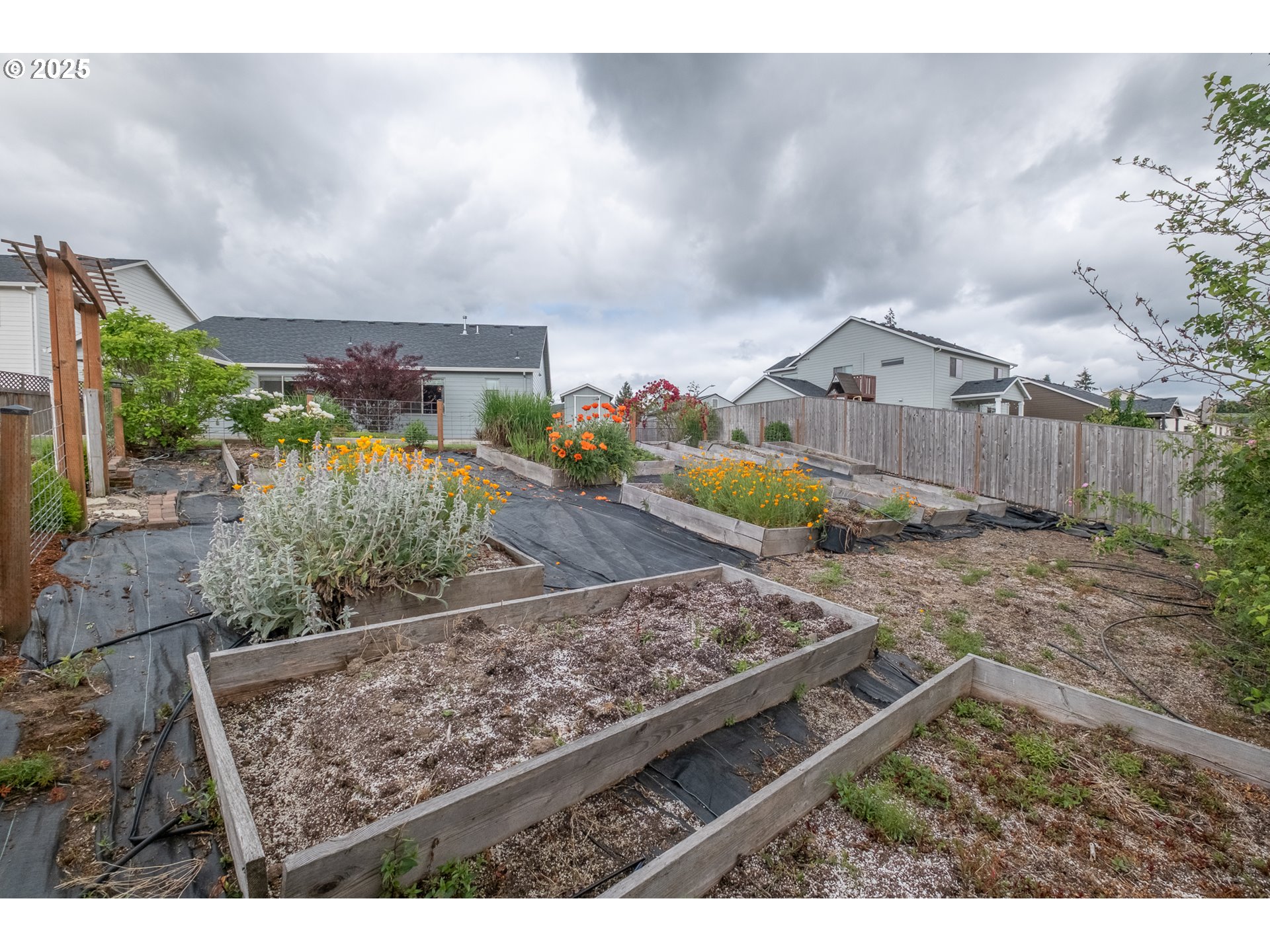 Albany, Oregon 97321, United States, 3 Bedrooms Bedrooms, ,2 BathroomsBathrooms,Residential,Active,139402