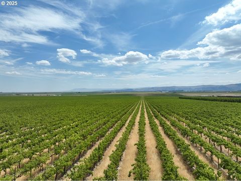 Road 24 SW Mattawa WA 99349