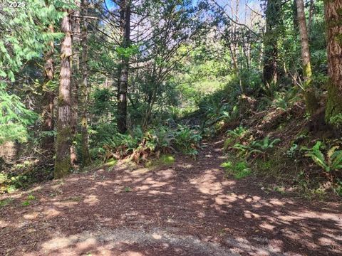 Jefferson ST Lot 1&6 Port Orford OR 97465