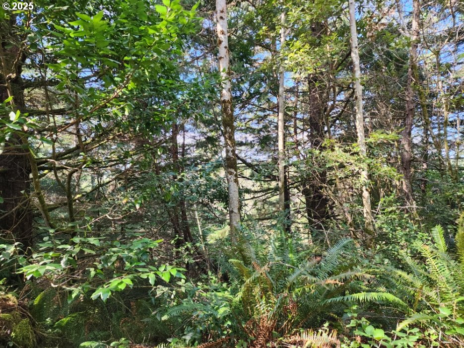 Jefferson ST Lot 1&6