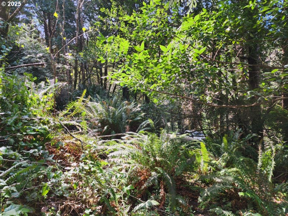 Jefferson ST Lot 1&6