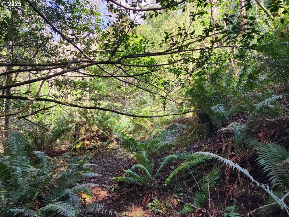 Jefferson ST Lot 1&6