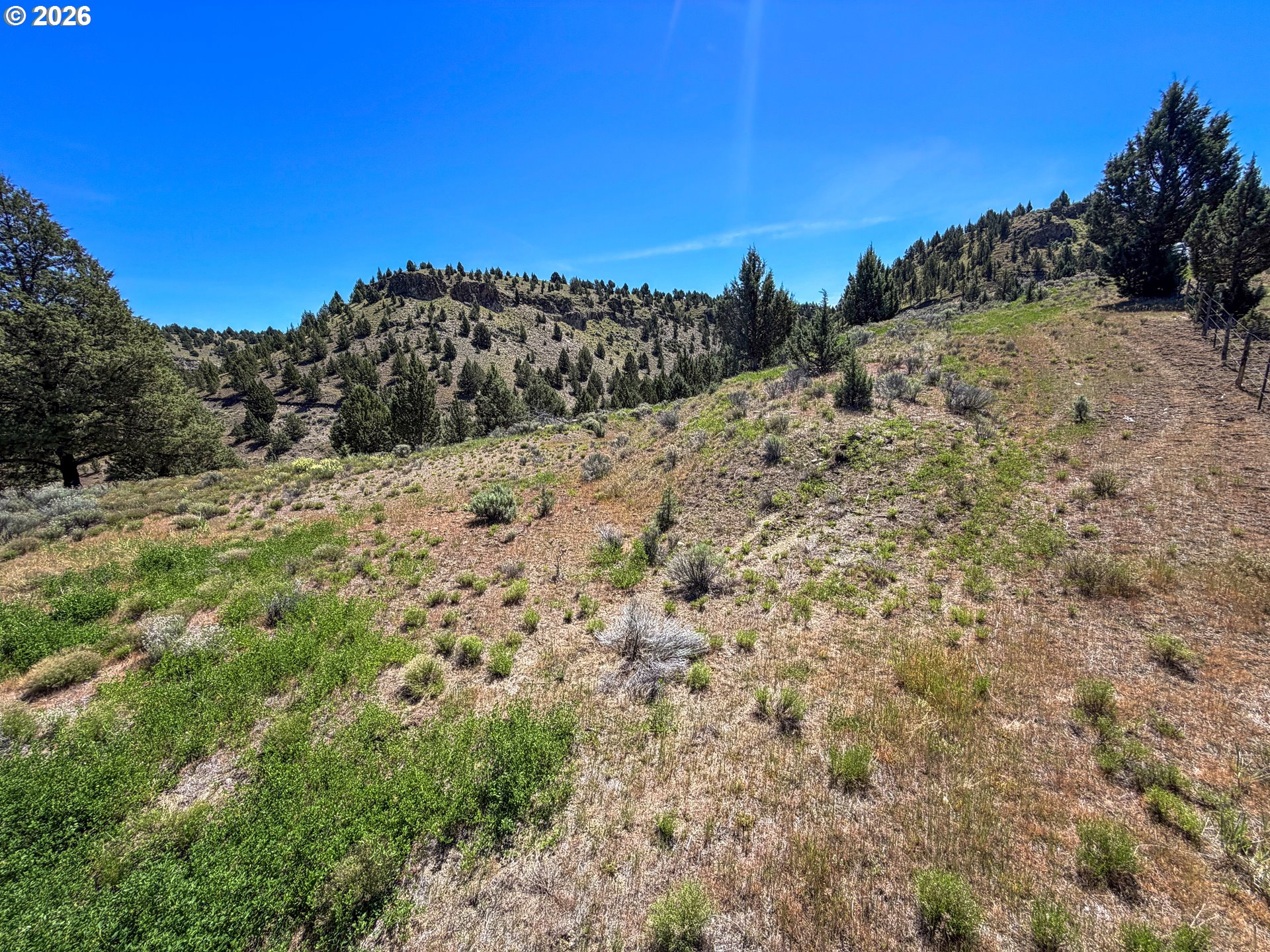 Luce Creek RD