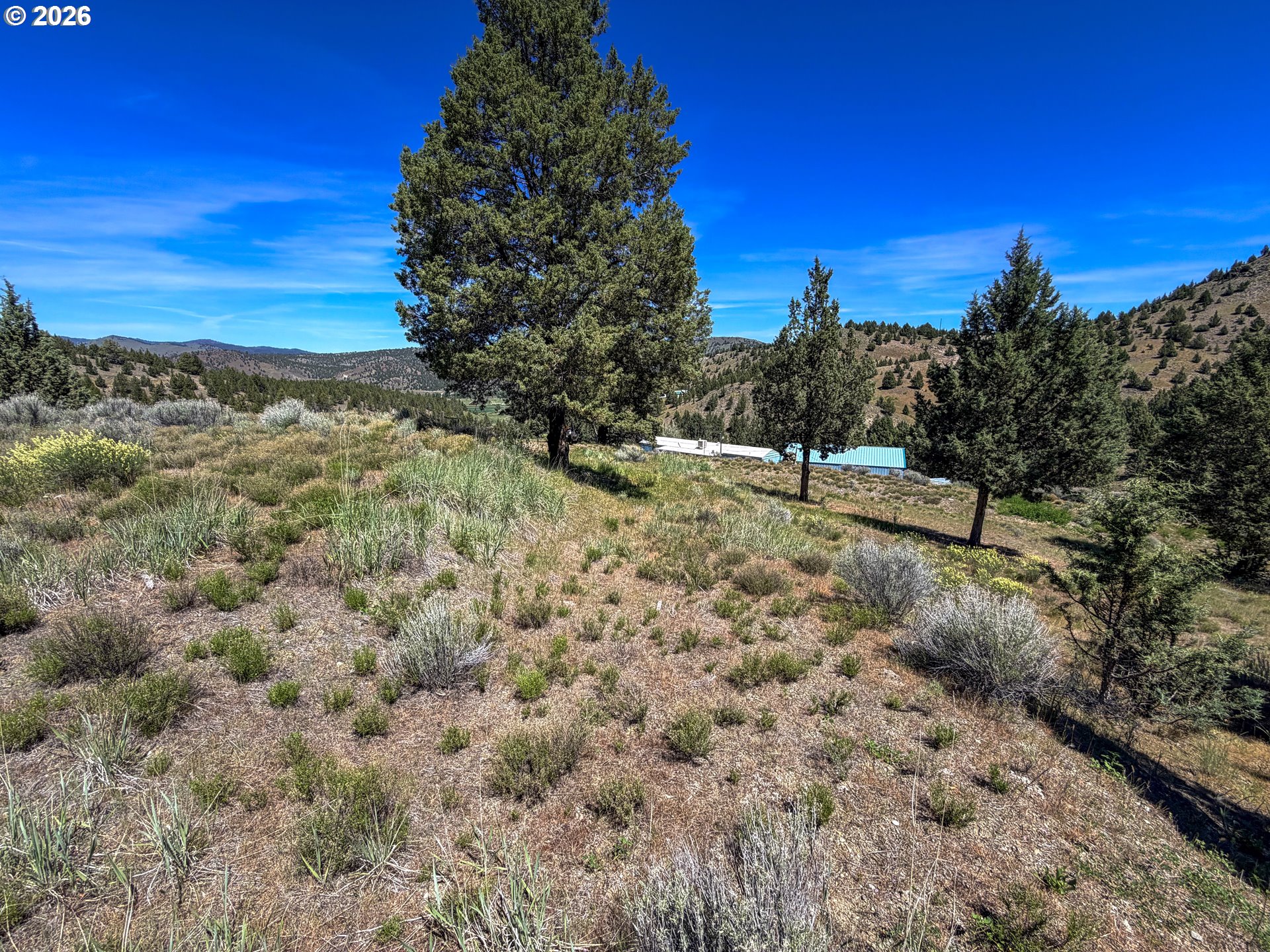 Luce Creek RD