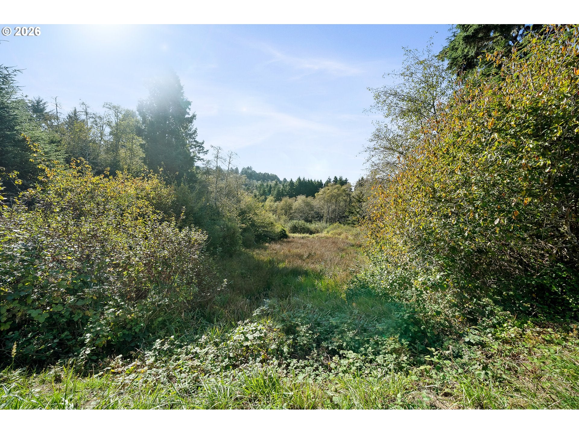 233 ROCK CREEK DR